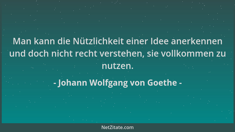 Johann Wolfgang von Goethe - Man kann die Nützlichkeit einer Idee anerkennen und doch nicht recht verstehen, sie vollkommen...
