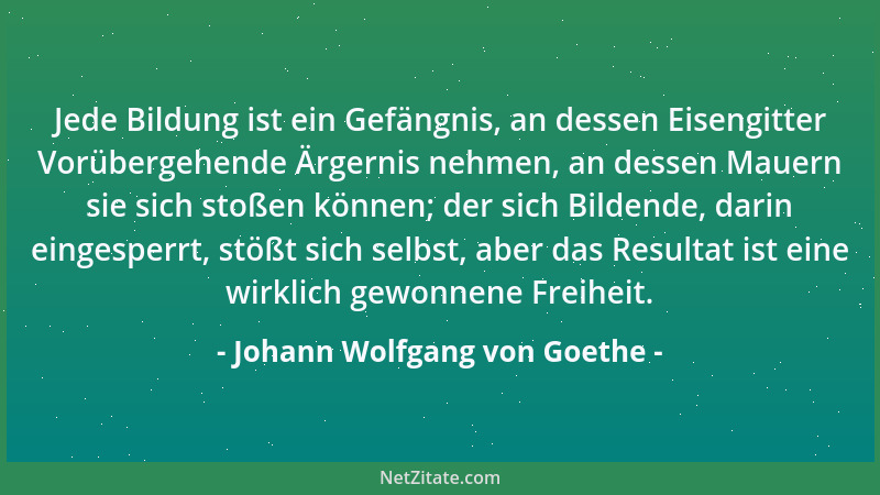 Johann Wolfgang von Goethe - Jede Bildung ist ein Gefängnis, an dessen Eisengitter Vorübergehende Ärgernis nehmen, an desse...