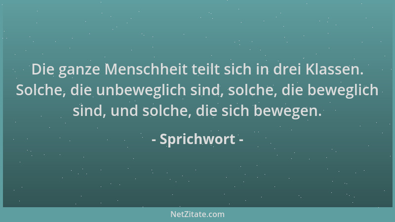 Sprichwort - Die ganze Menschheit teilt sich in drei Klassen. Solche, die unbeweglich sind, solche, die beweglich sind, und...