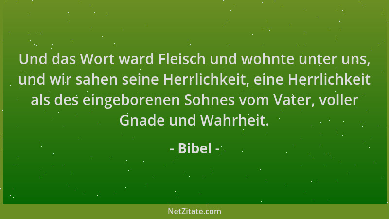 Bibel - Und das Wort ward Fleisch und wohnte unter uns, und wir sahen seine Herrlichkeit, eine Herrlichkeit als des eingebo...