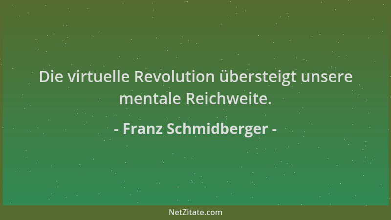 Franz Schmidberger - Die virtuelle Revolution übersteigt unsere mentale Reichweite....