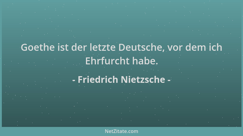 Friedrich Nietzsche - Goethe ist der letzte Deutsche, vor dem ich Ehrfurcht habe....