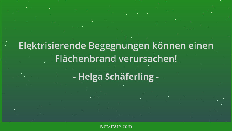 Helga Schäferling - Elektrisierende Begegnungen können einen Flächenbrand verursachen!...