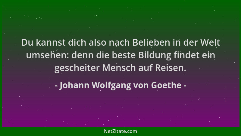 Johann Wolfgang von Goethe - Du kannst dich also nach Belieben in der Welt umsehen: denn die beste Bildung findet ein gesch...
