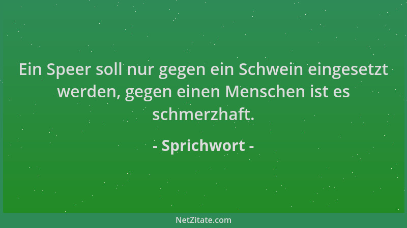 Sprichwort - Ein Speer soll nur gegen ein Schwein eingesetzt werden, gegen einen Menschen ist es schmerzhaft....