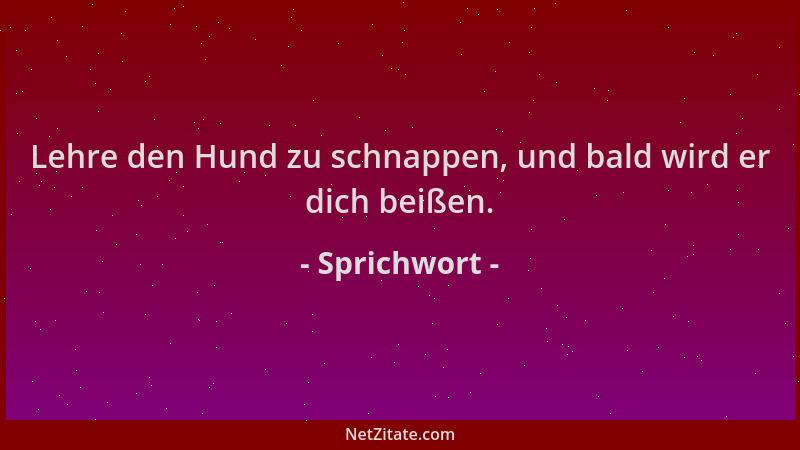 Sprichwort - Lehre den Hund zu schnappen, und bald wird er dich beißen....