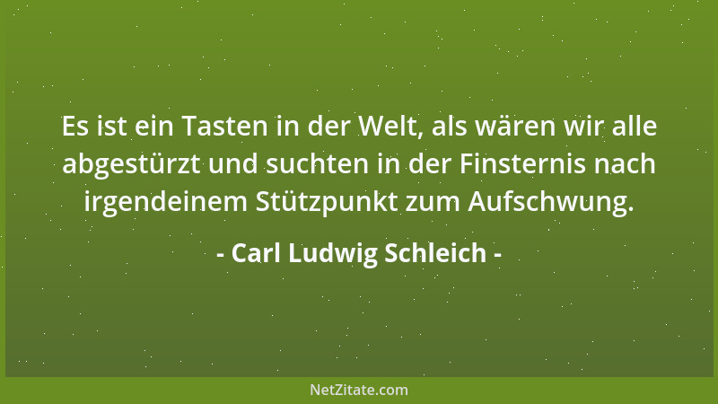 Carl Ludwig Schleich - Es ist ein Tasten in der Welt, als wären wir alle abgestürzt und suchten in der Finsternis nach irge...
