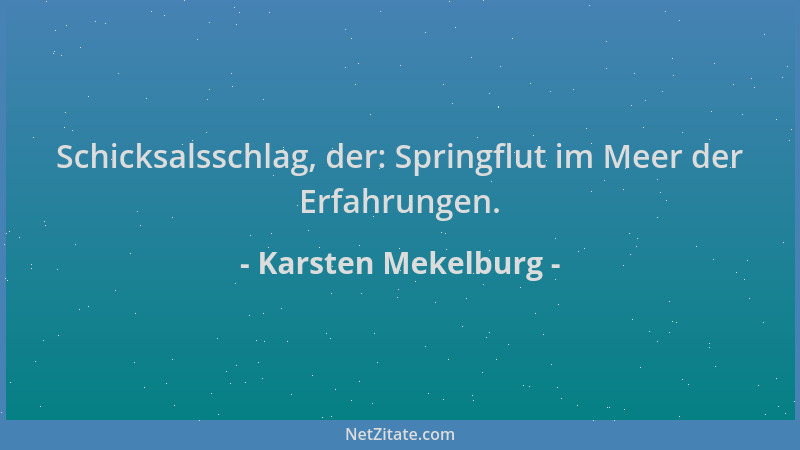 Karsten Mekelburg - Schicksalsschlag, der: Springflut im Meer der Erfahrungen....