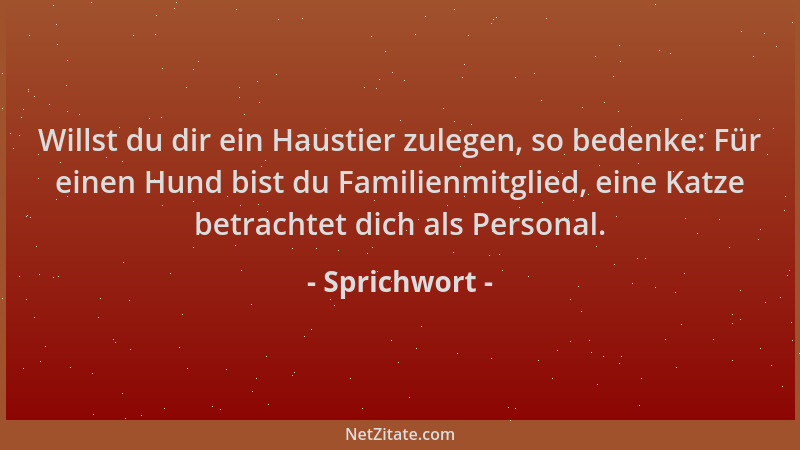 Sprichwort - Willst du dir ein Haustier zulegen, so bedenke: Für einen Hund bist du Familienmitglied, eine Katze betrachtet...