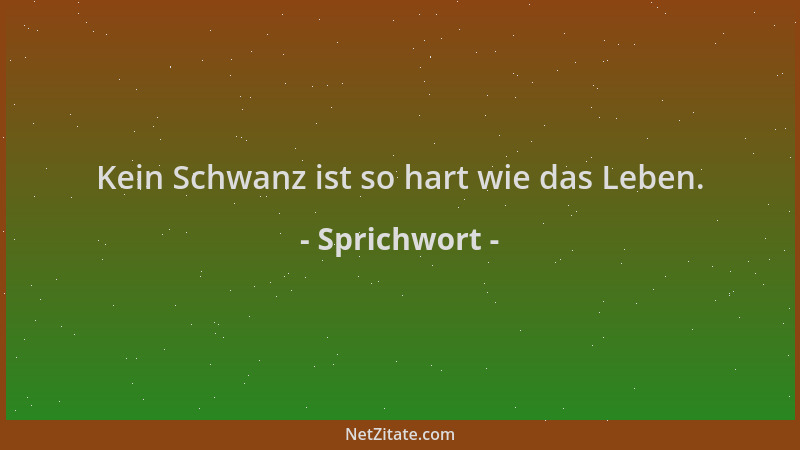 Sprichwort - Kein Schwanz ist so hart wie das Leben....