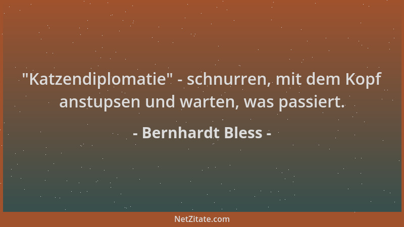 Bernhardt Bless -  "Katzendiplomatie " - schnurren, mit dem Kopf anstupsen und warten, was passiert....