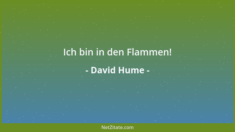 David Hume - Ich bin in den Flammen!...