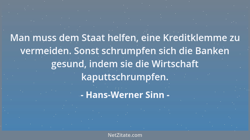 Hans-Werner Sinn - Man muss dem Staat helfen, eine Kreditklemme zu vermeiden. Sonst schrumpfen sich die Banken gesund, inde...
