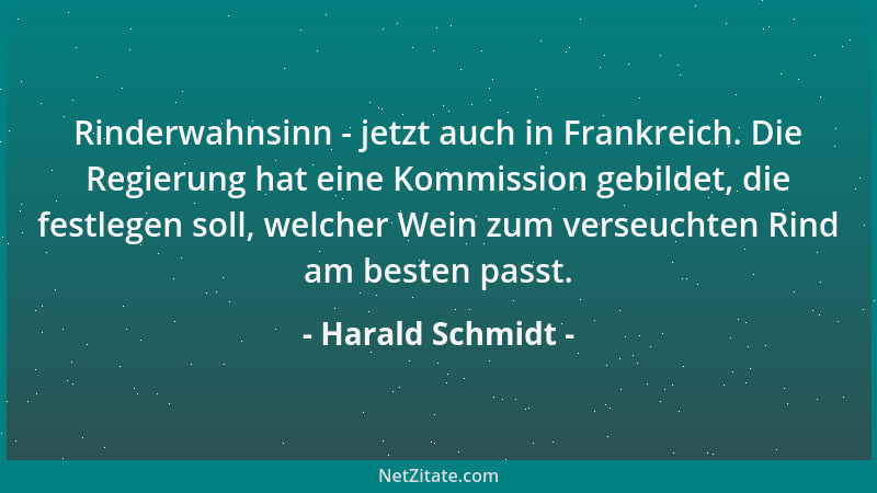 Harald Schmidt - Rinderwahnsinn - jetzt auch in Frankreich. Die Regierung hat eine Kommission gebildet, die festlegen soll,...