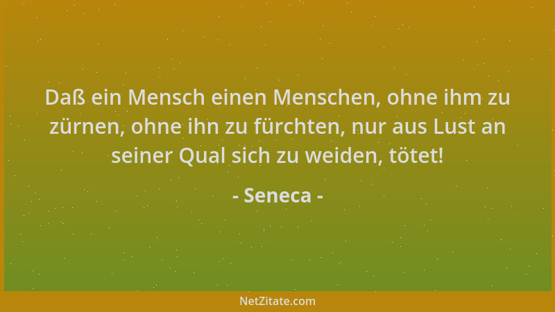 Seneca - Daß ein Mensch einen Menschen, ohne ihm zu zürnen, ohne ihn zu fürchten, nur aus Lust an seiner Qual sich zu weide...