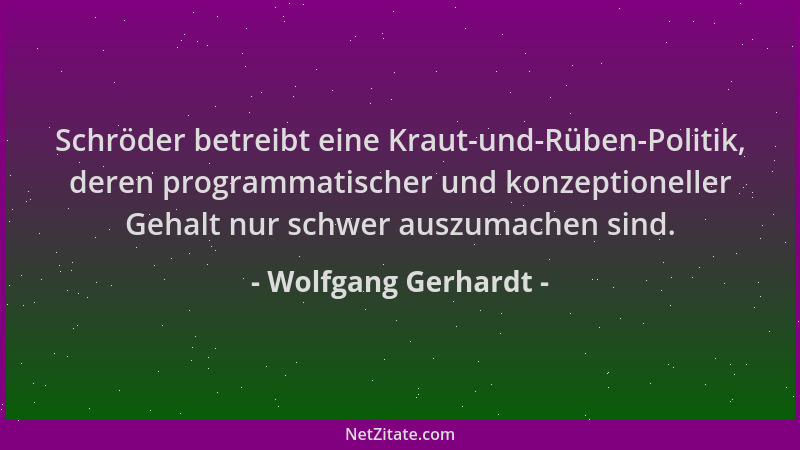 Wolfgang Gerhardt - Schröder betreibt eine Kraut-und-Rüben-Politik, deren programmatischer und konzeptioneller Gehalt nur s...