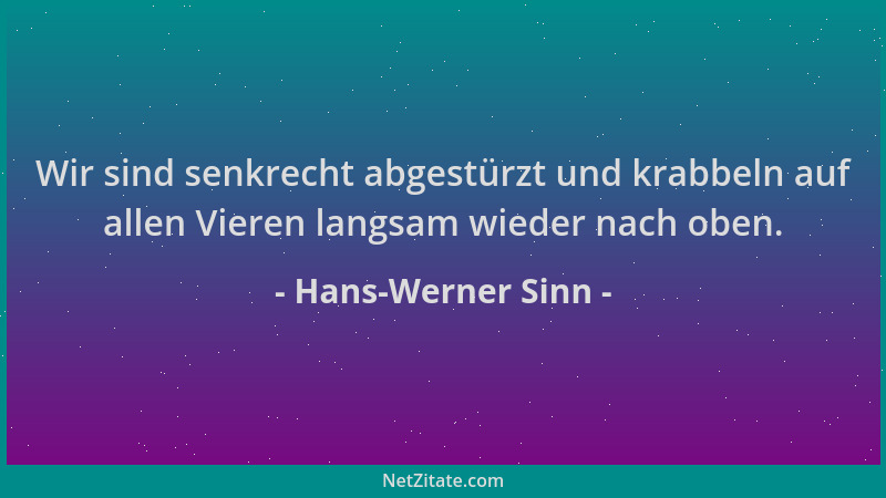 Hans-Werner Sinn - Wir sind senkrecht abgestürzt und krabbeln auf allen Vieren langsam wieder nach oben....