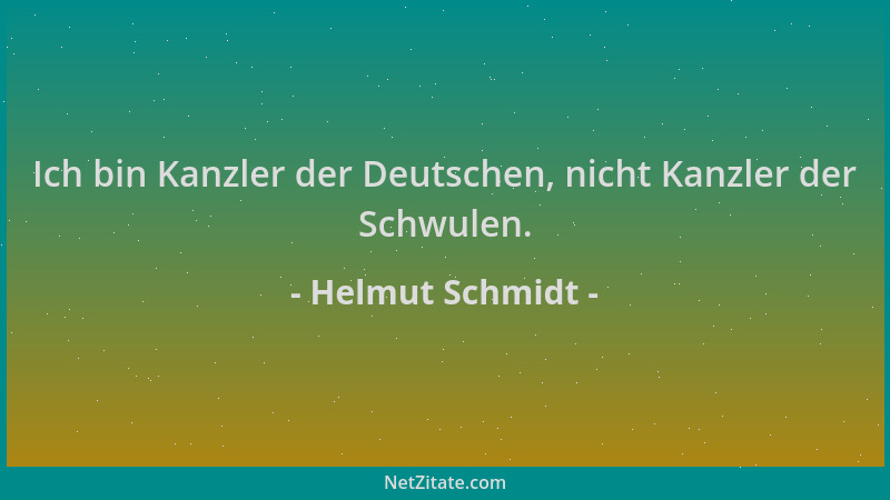 Helmut Schmidt - Ich bin Kanzler der Deutschen, nicht Kanzler der Schwulen....