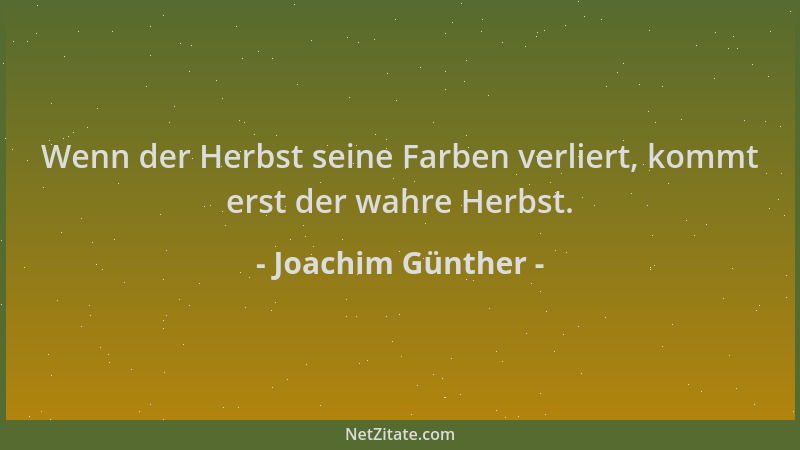 Joachim Günther - Wenn der Herbst seine Farben verliert, kommt erst der wahre Herbst....