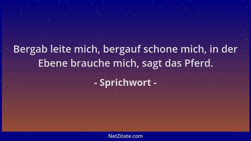 Sprichwort - Bergab leite mich, bergauf schone mich, in der Ebene brauche mich, sagt das Pferd....