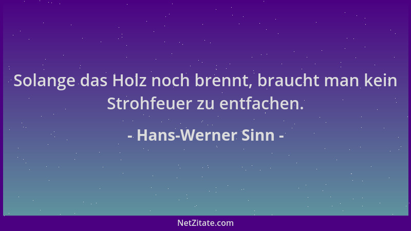 Hans-Werner Sinn - Solange das Holz noch brennt, braucht man kein Strohfeuer zu entfachen....