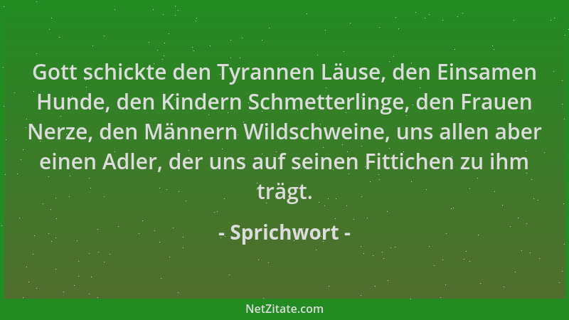 Sprichwort - Gott schickte den Tyrannen Läuse, den Einsamen Hunde, den Kindern Schmetterlinge, den Frauen Nerze, den Männer...