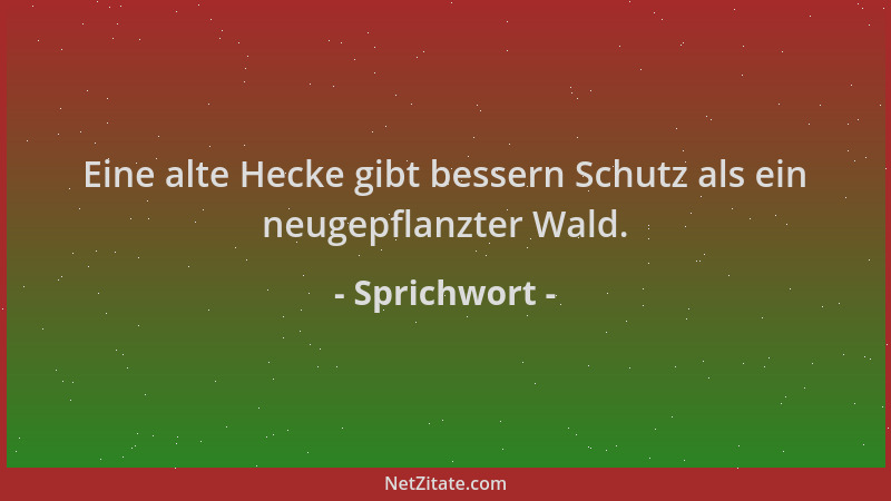 Sprichwort - Eine alte Hecke gibt bessern Schutz als ein neugepflanzter Wald....