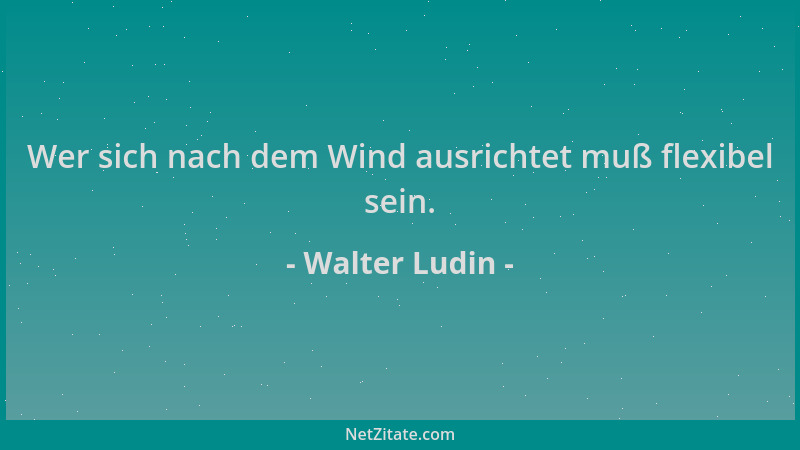 Walter Ludin - Wer sich nach dem Wind ausrichtet muß flexibel sein....