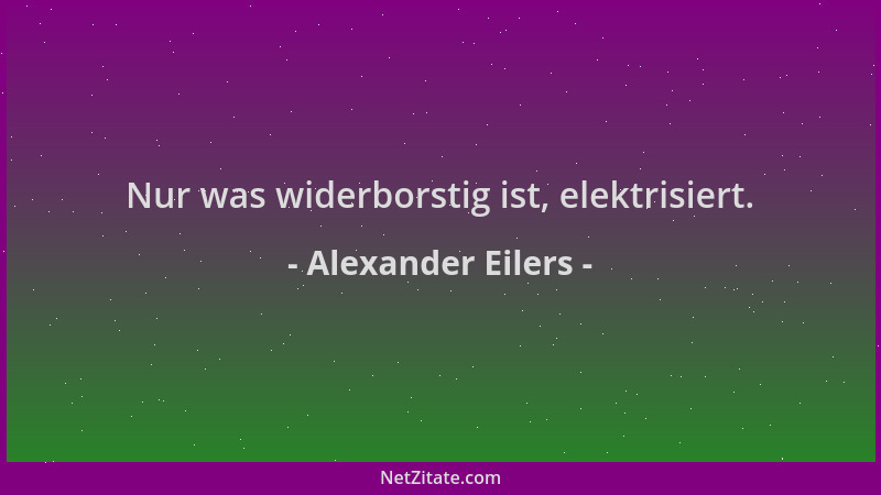 Alexander Eilers - Nur was widerborstig ist, elektrisiert....