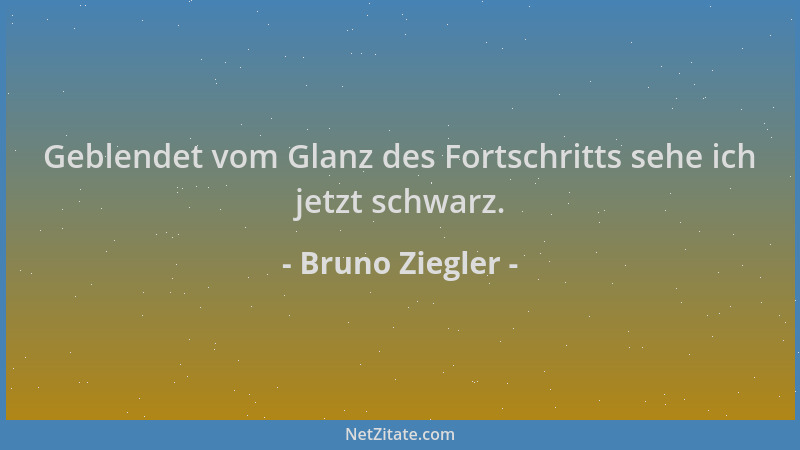Bruno Ziegler - Geblendet vom Glanz des Fortschritts sehe ich jetzt schwarz....