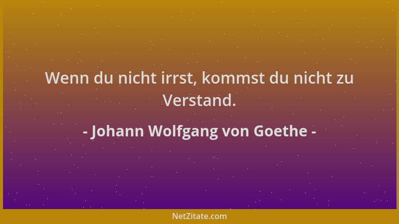 Johann Wolfgang von Goethe - Wenn du nicht irrst, kommst du nicht zu Verstand....