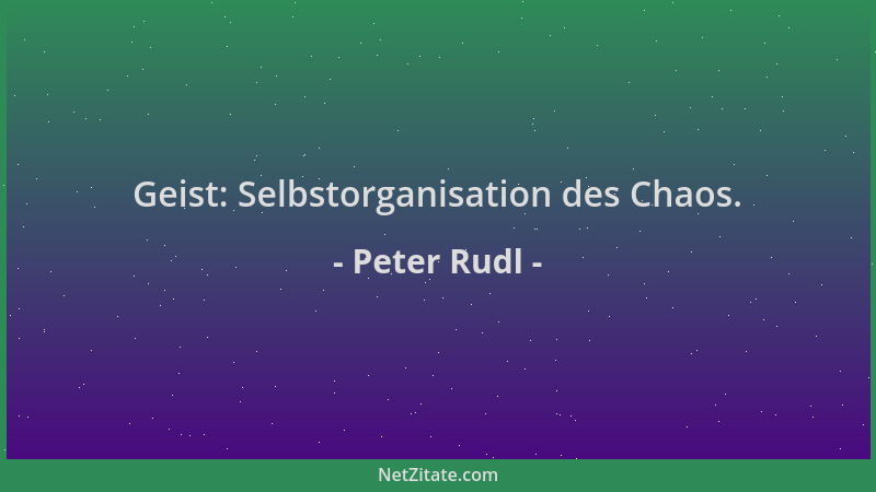 Peter Rudl - Geist: Selbstorganisation des Chaos....