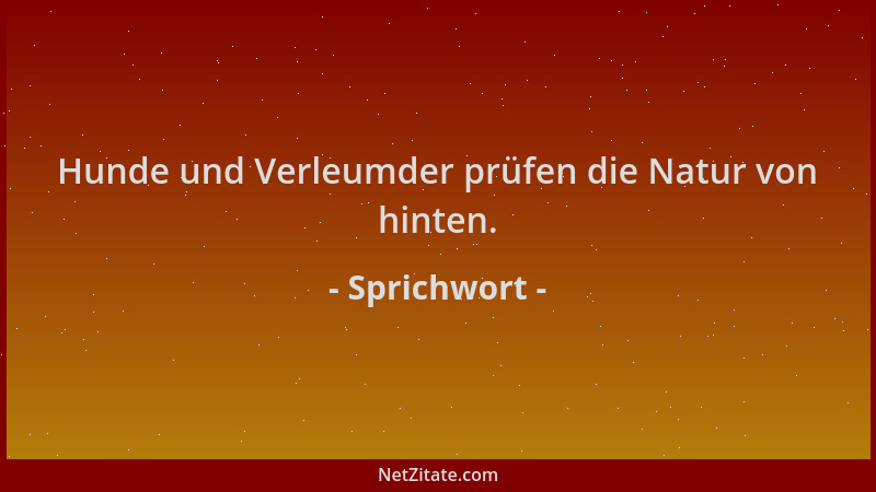Sprichwort - Hunde und Verleumder prüfen die Natur von hinten....