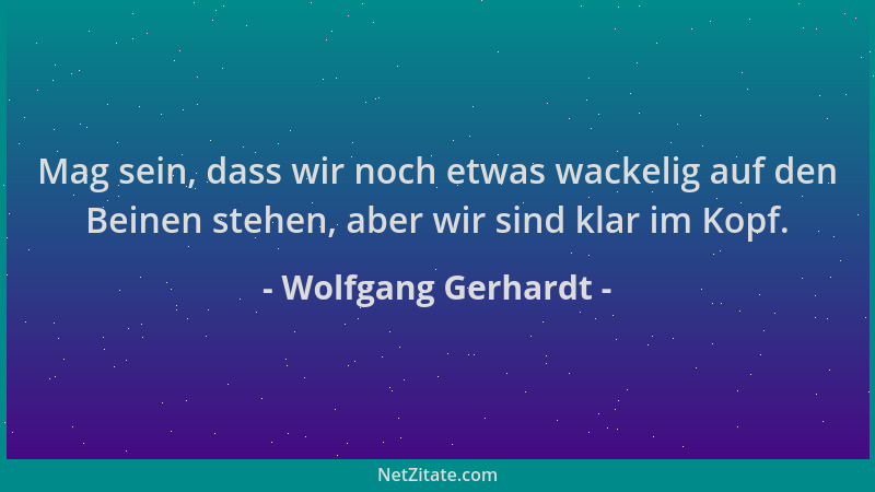 Wolfgang Gerhardt - Mag sein, dass wir noch etwas wackelig auf den Beinen stehen, aber wir sind klar im Kopf....