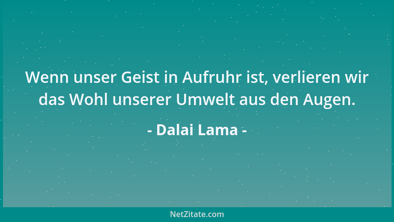 Dalai Lama - Wenn unser Geist in Aufruhr ist, verlieren wir das Wohl unserer Umwelt aus den Augen....