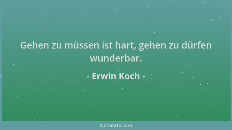 Erwin Koch - Gehen zu müssen ist hart, gehen zu dürfen wunderbar....