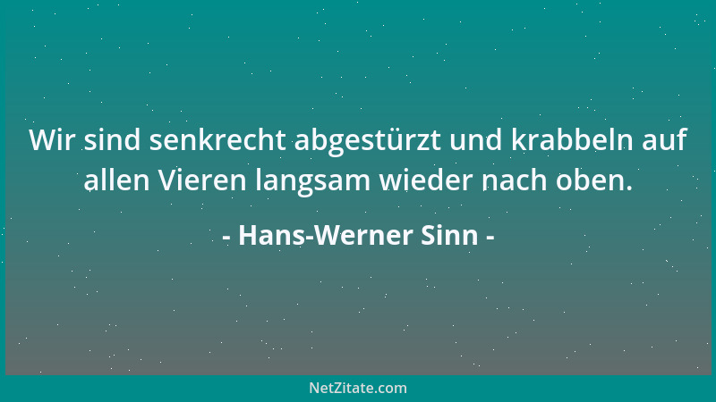Hans-Werner Sinn - Wir sind senkrecht abgestürzt und krabbeln auf allen Vieren langsam wieder nach oben....