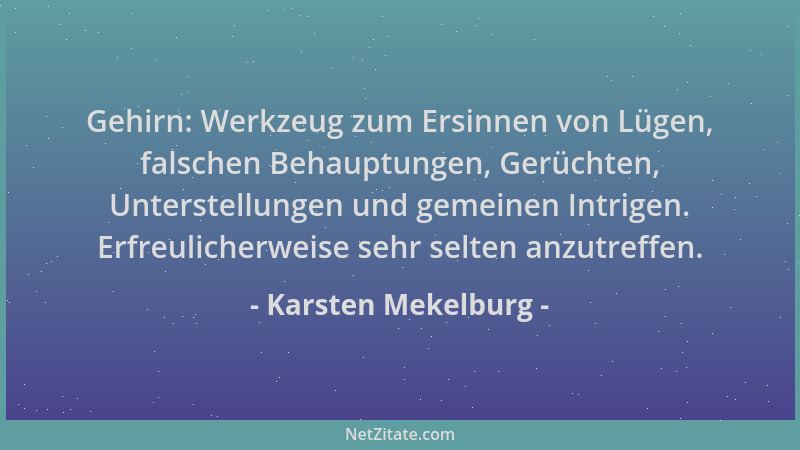 Karsten Mekelburg - Gehirn: Werkzeug zum Ersinnen von Lügen, falschen Behauptungen, Gerüchten, Unterstellungen und gemeinen...