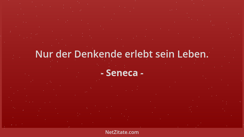 Seneca - Nur der Denkende erlebt sein Leben....