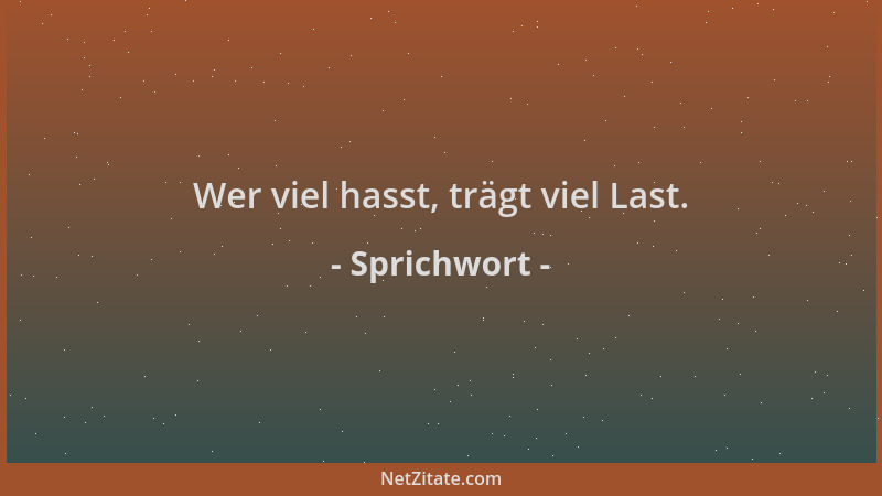 Sprichwort - Wer viel hasst, trägt viel Last....
