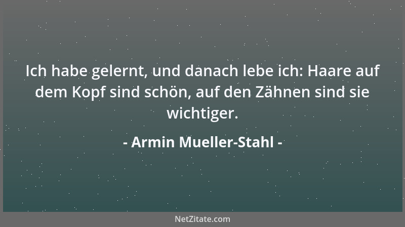 Armin Mueller-Stahl - Ich habe gelernt, und danach lebe ich: Haare auf dem Kopf sind schön, auf den Zähnen sind sie wichtig...