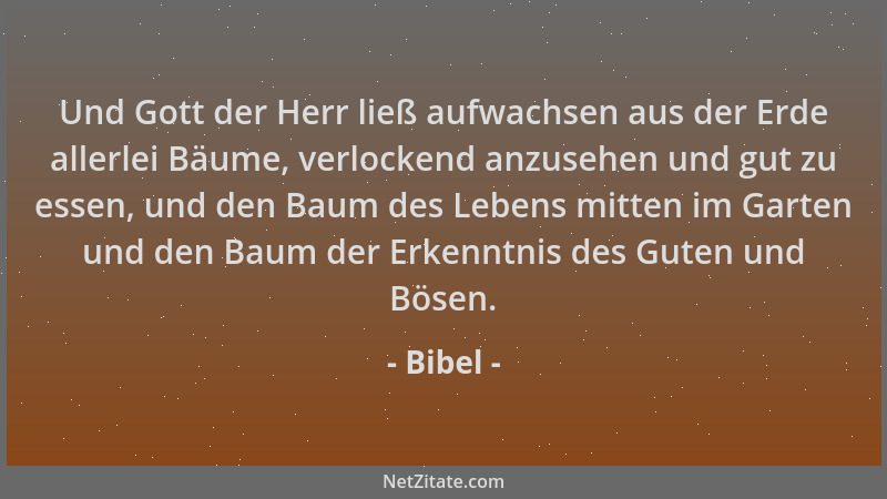 Bibel - Und Gott der Herr ließ aufwachsen aus der Erde allerlei Bäume, verlockend anzusehen und gut zu essen, und den Baum...