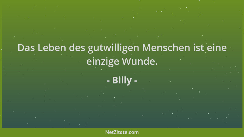 Billy - Das Leben des gutwilligen Menschen ist eine einzige Wunde....