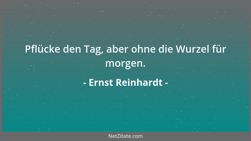 Ernst Reinhardt - Pflücke den Tag, aber ohne die Wurzel für morgen....
