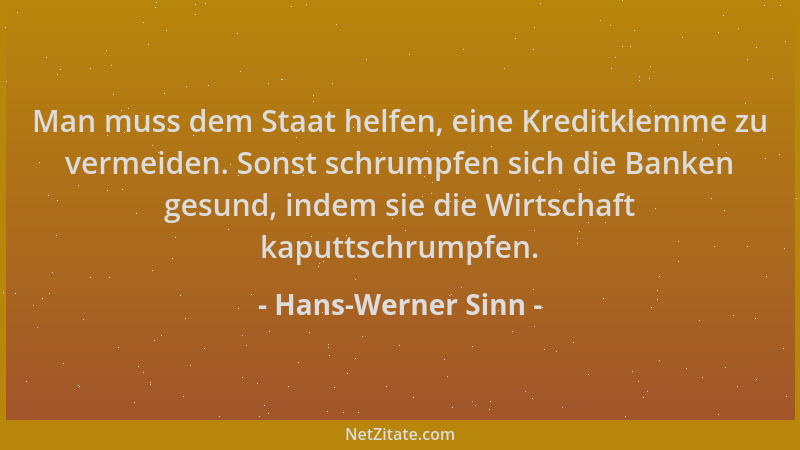 Hans-Werner Sinn - Man muss dem Staat helfen, eine Kreditklemme zu vermeiden. Sonst schrumpfen sich die Banken gesund, inde...