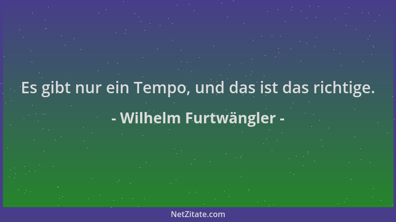 Wilhelm Furtwängler - Es gibt nur ein Tempo, und das ist das richtige....