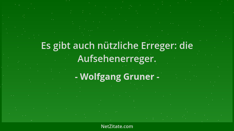 Wolfgang Gruner - Es gibt auch nützliche Erreger: die Aufsehenerreger....