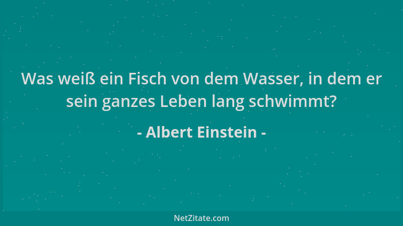 Albert Einstein - Was weiß ein Fisch von dem Wasser, in dem er sein ganzes Leben lang schwimmt?...
