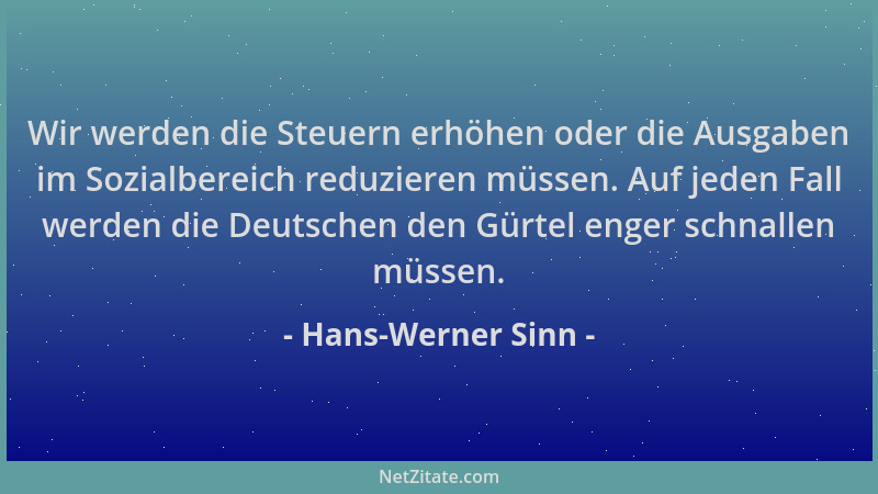 Hans-Werner Sinn - Wir werden die Steuern erhöhen oder die Ausgaben im Sozialbereich reduzieren müssen. Auf jeden Fall werd...