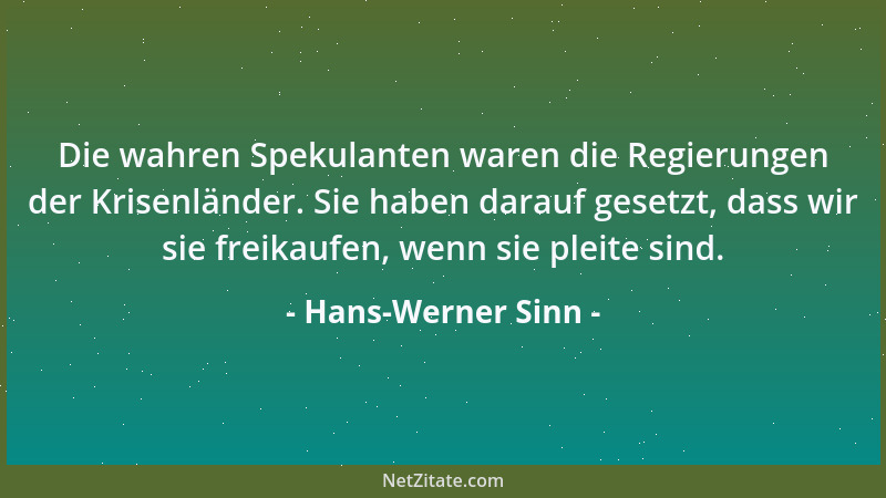 Hans-Werner Sinn - Die wahren Spekulanten waren die Regierungen der Krisenländer. Sie haben darauf gesetzt, dass wir sie fr...